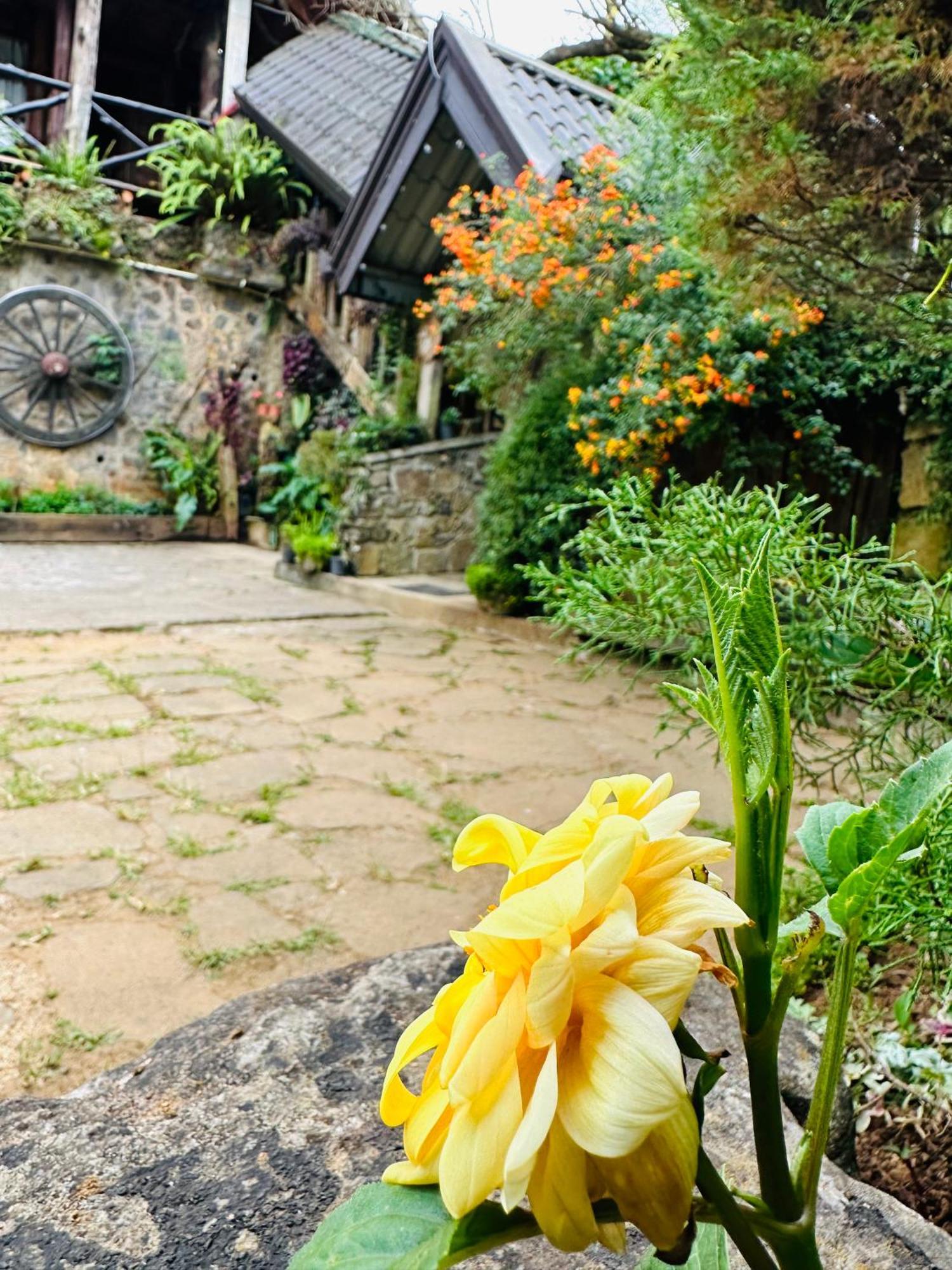 Villa 47 Nuwaraeliya Nuwara Eliya Zewnętrze zdjęcie
