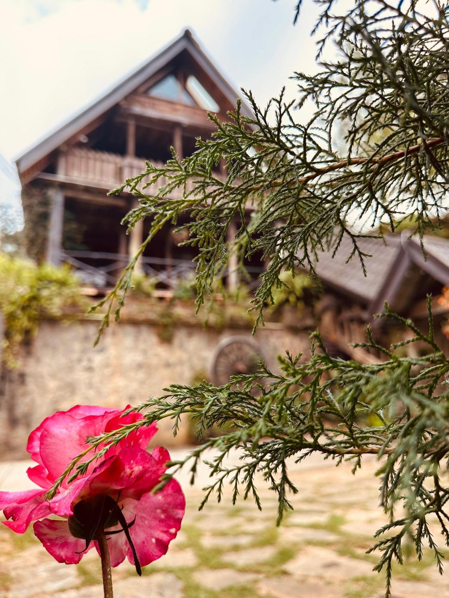 Villa 47 Nuwaraeliya Nuwara Eliya Zewnętrze zdjęcie