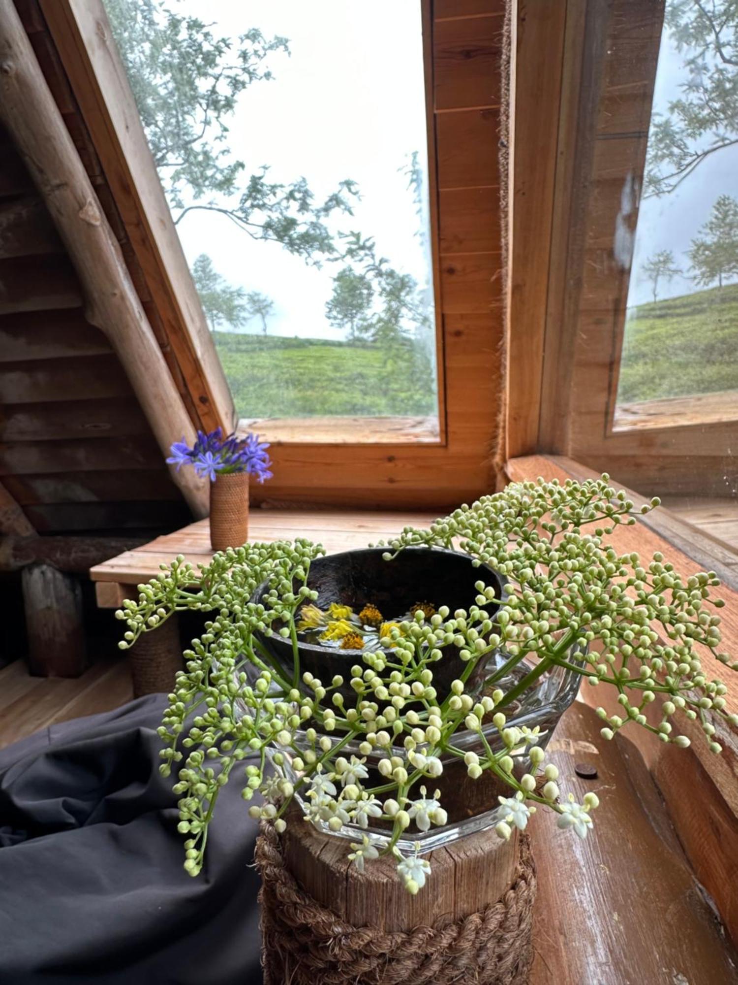 Villa 47 Nuwaraeliya Nuwara Eliya Zewnętrze zdjęcie
