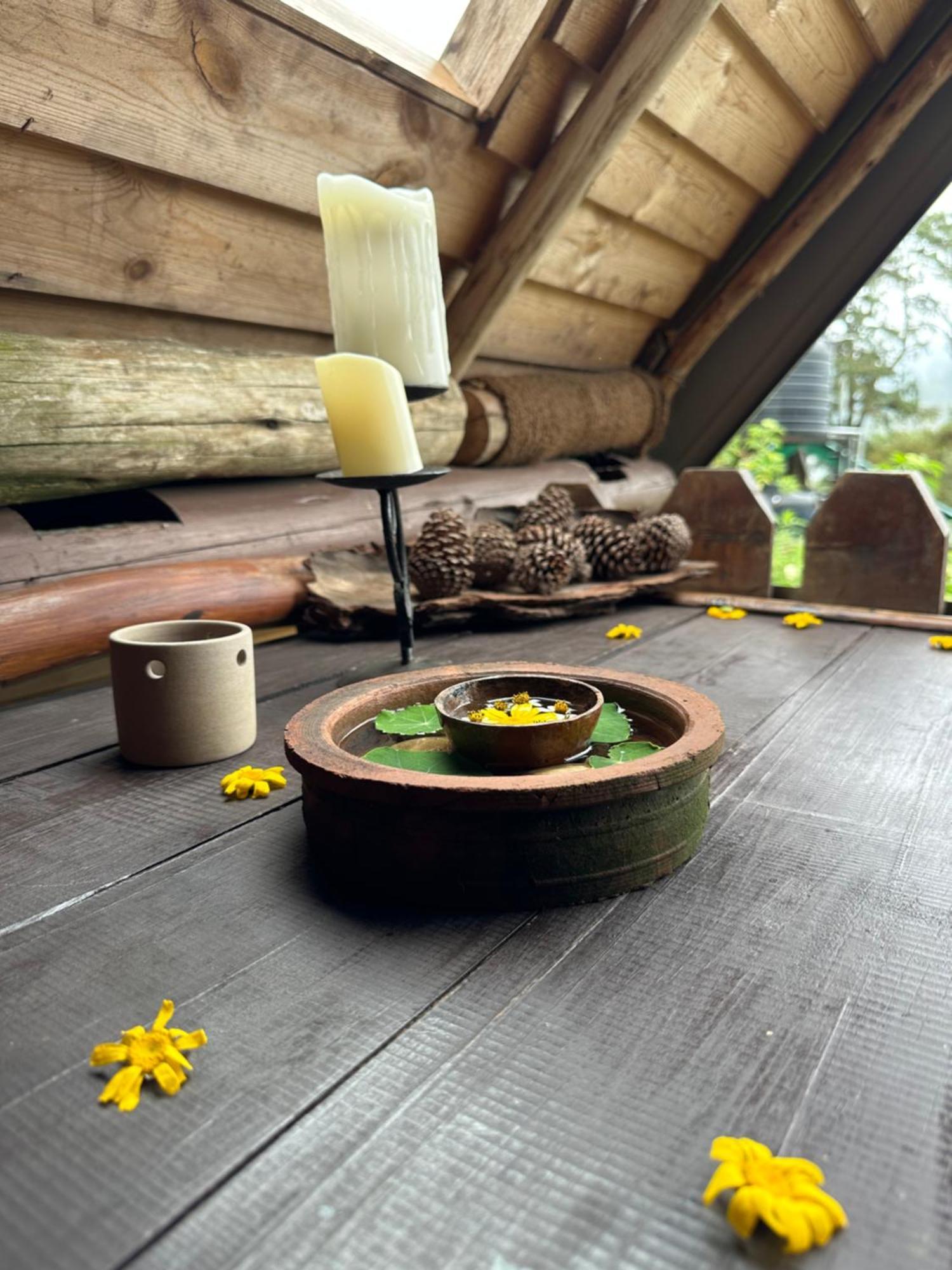 Villa 47 Nuwaraeliya Nuwara Eliya Zewnętrze zdjęcie