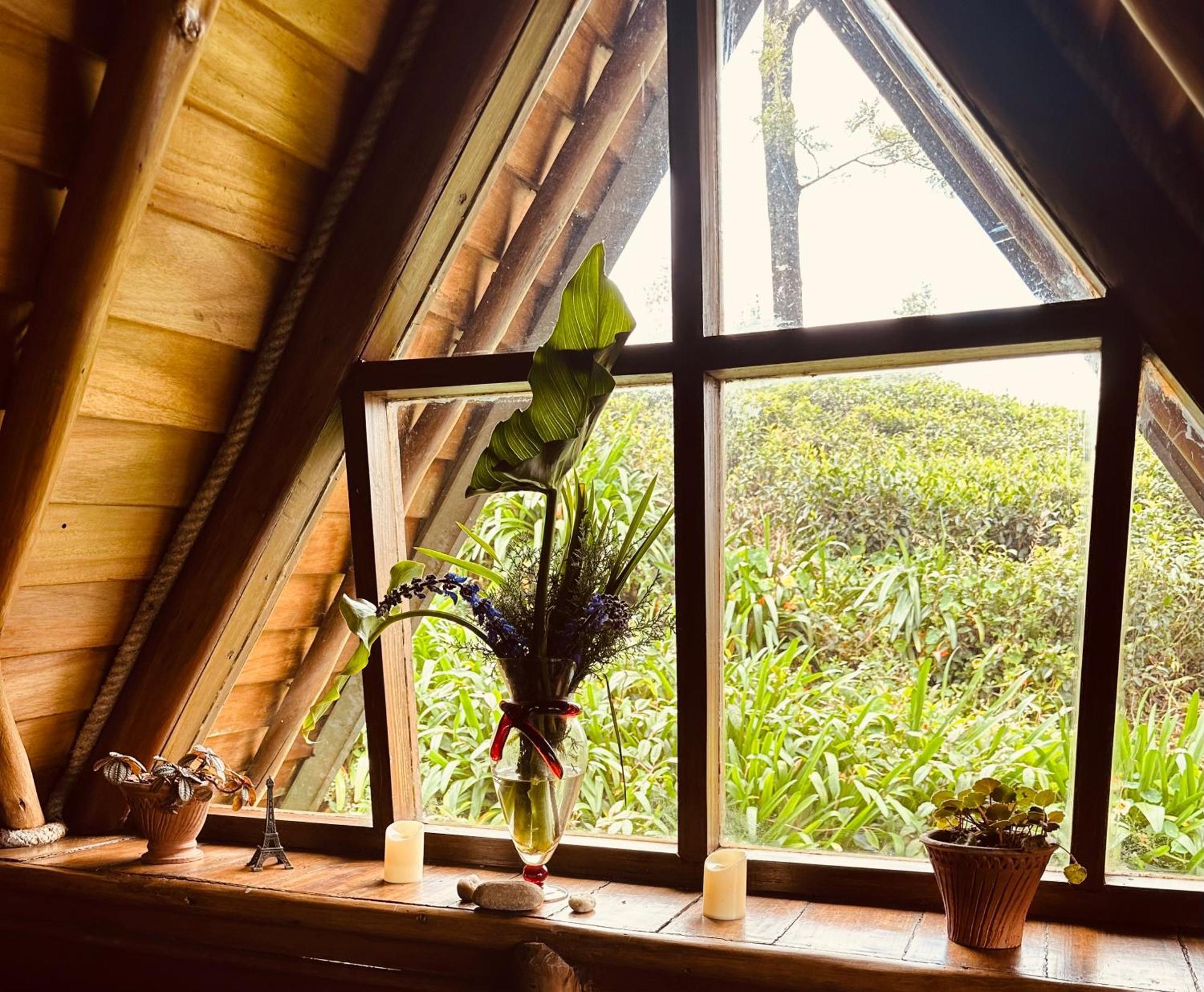Villa 47 Nuwaraeliya Nuwara Eliya Zewnętrze zdjęcie