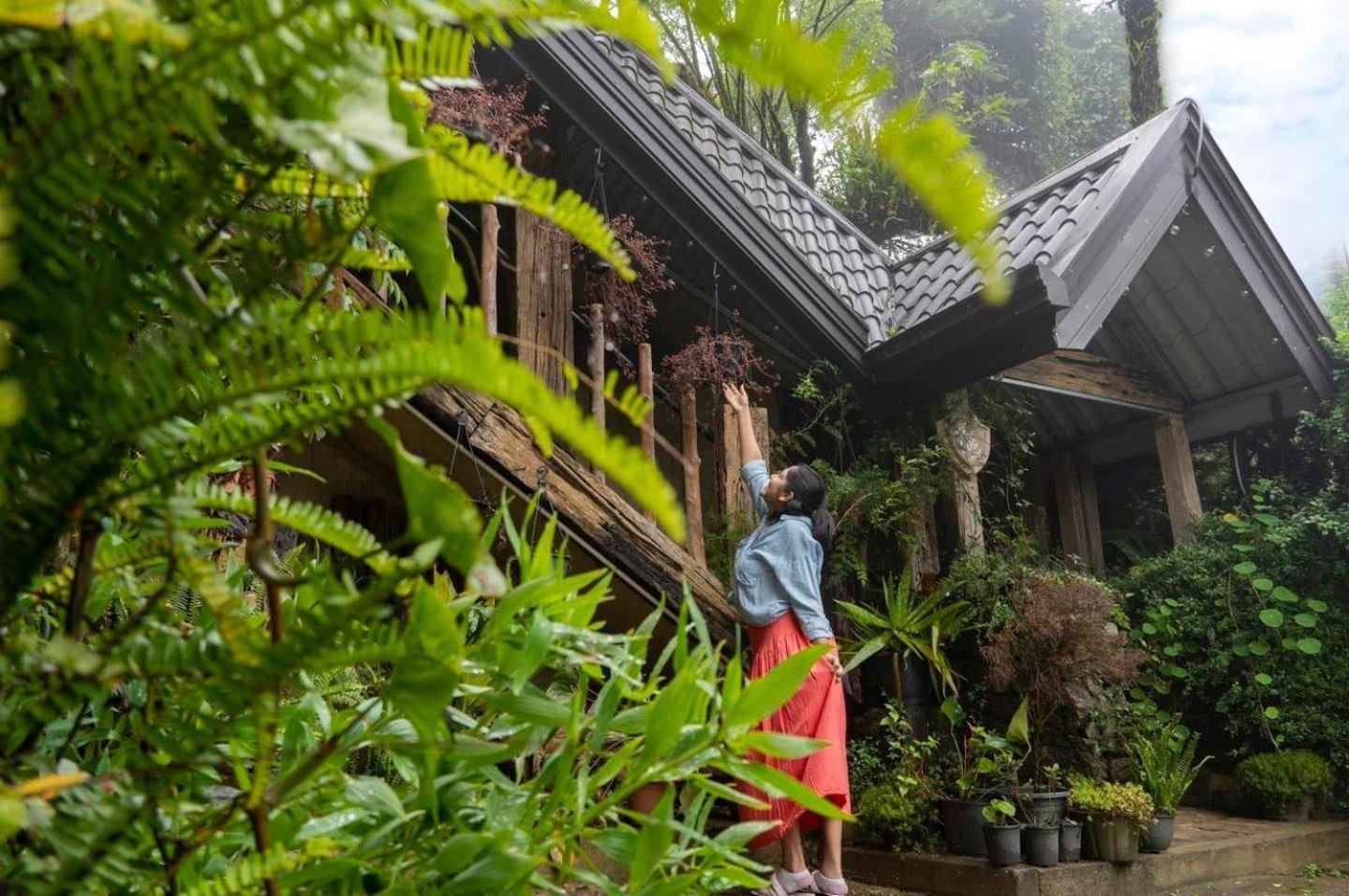 Villa 47 Nuwaraeliya Nuwara Eliya Zewnętrze zdjęcie