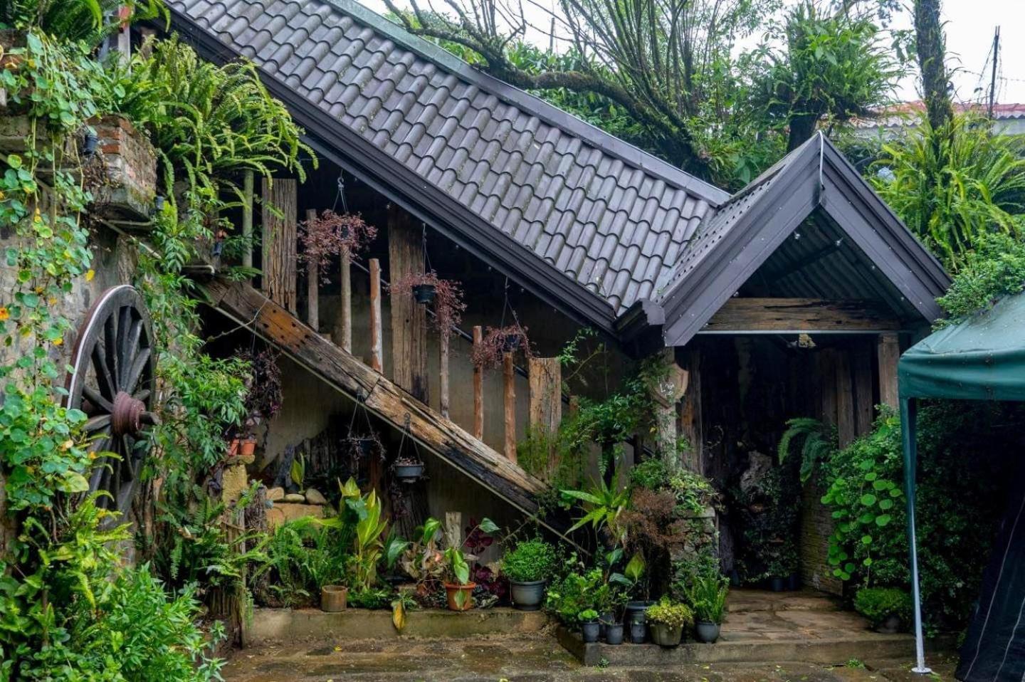 Villa 47 Nuwaraeliya Nuwara Eliya Zewnętrze zdjęcie